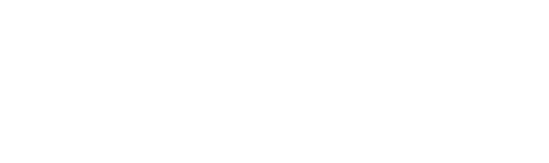 Company Timeline